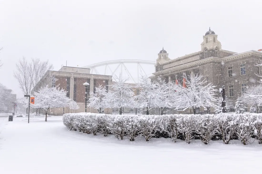 雪穿过大学校园.